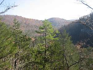 Vista near Barkshed.